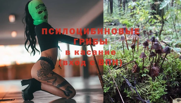 прущая мука Инта