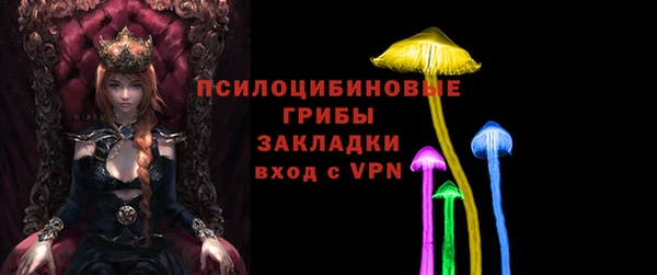 прущая мука Инта