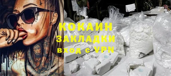дмт Касимов