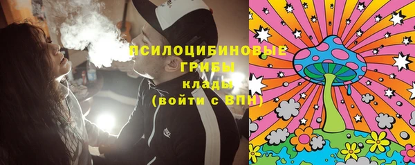прущая мука Инта
